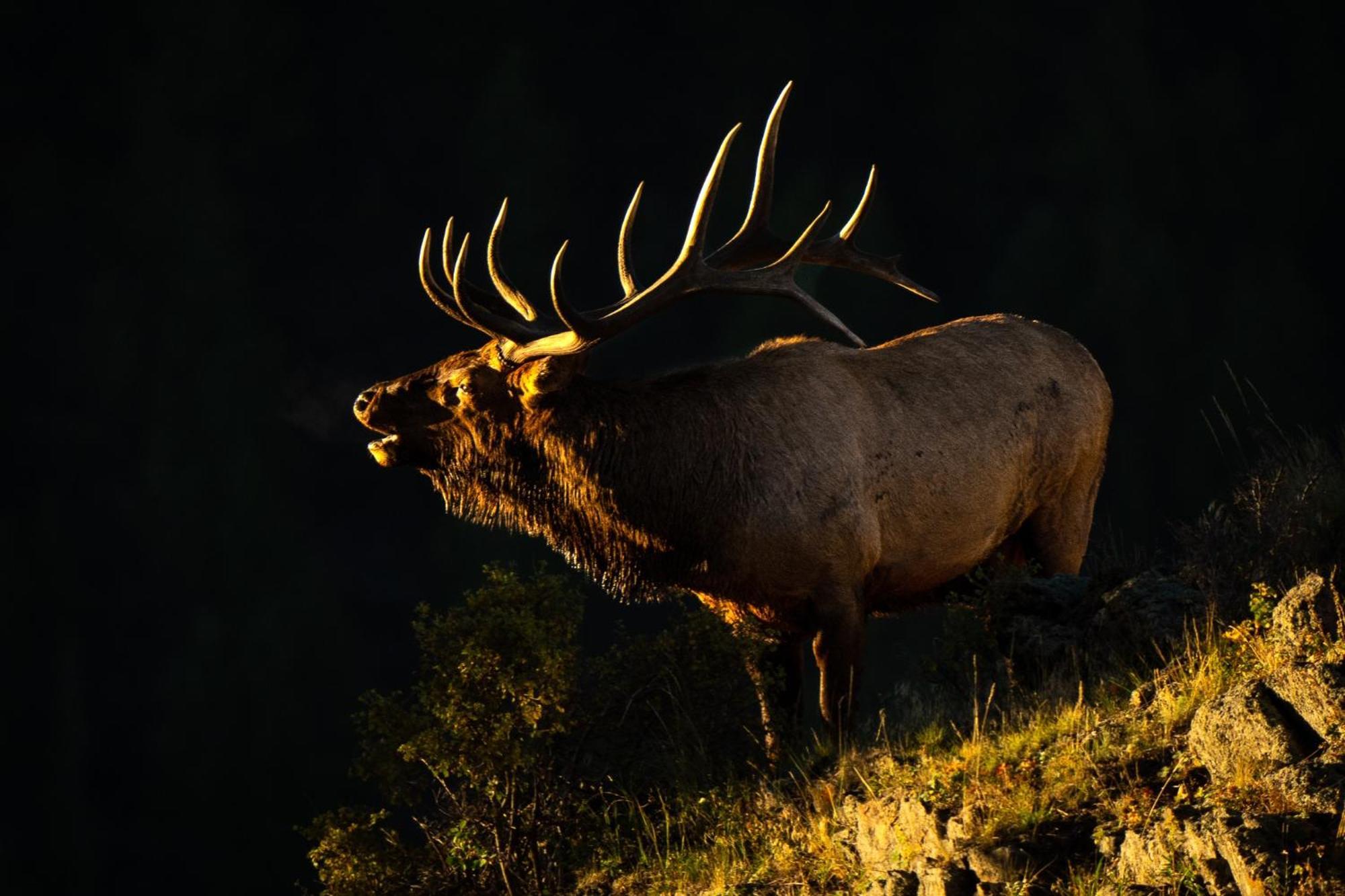 Frontier Mountain Retreat - Monthly Long-Term Vacation Rental 30 Days Minimum -- Estes Park Apts Exteriér fotografie