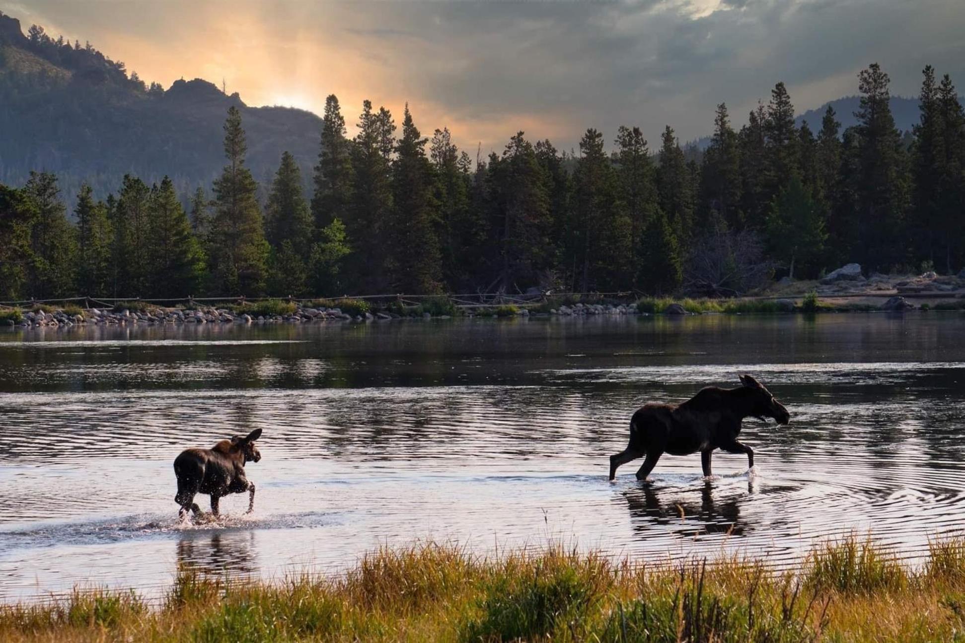 Frontier Mountain Retreat - Monthly Long-Term Vacation Rental 30 Days Minimum -- Estes Park Apts Exteriér fotografie